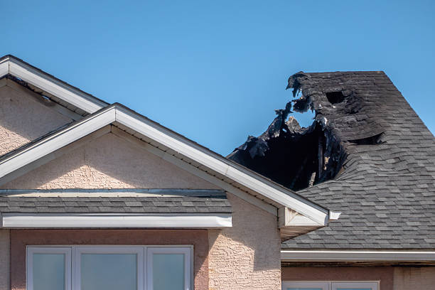 Top rated local Soot Cleanup specialists in Springfield, FL